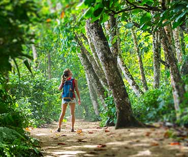 CR Nationalpark Cahuita. Thumbnail
