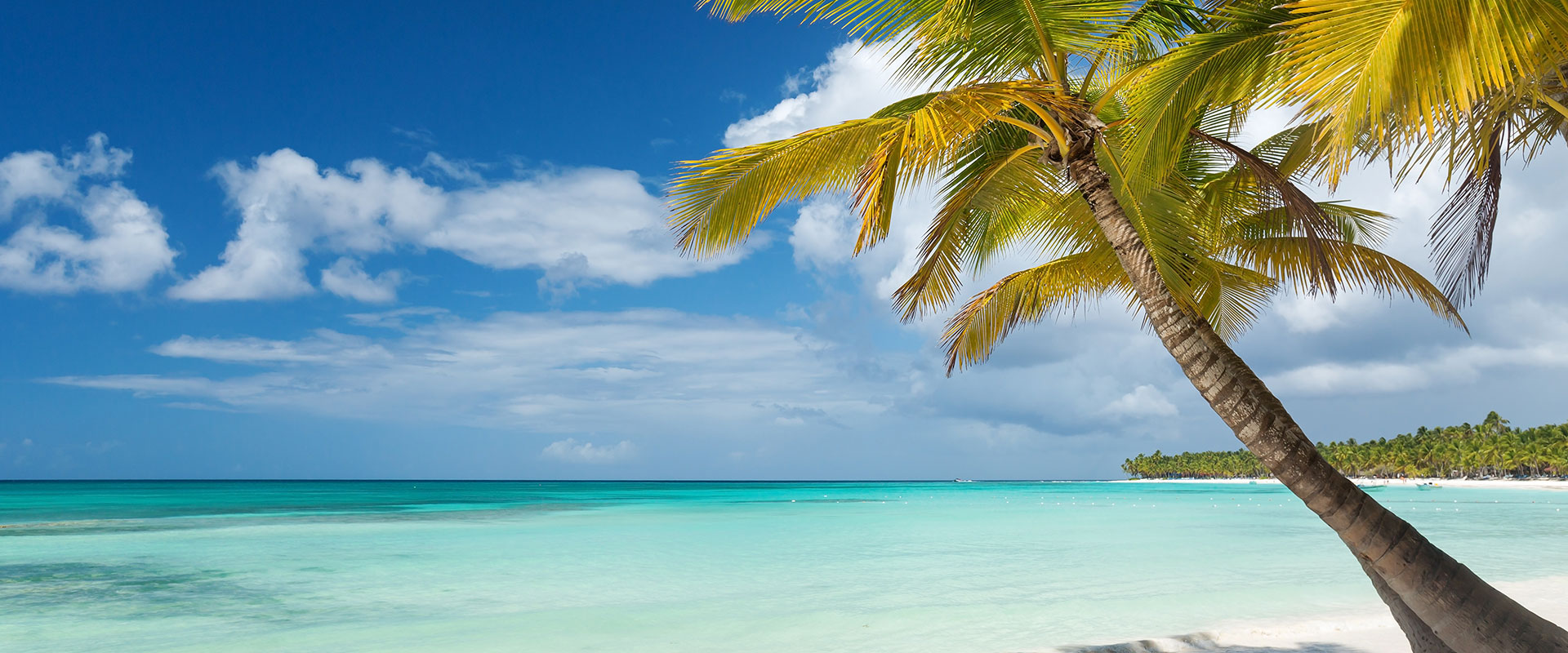 DO Saona-2_slider.jpg