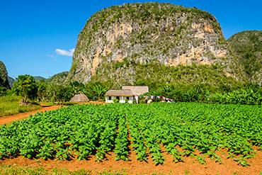 CU Rundreise Durch den Westen Kubas Thumbnail